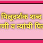 पिलूदर्शक शब्द (प्राणी व त्यांची पिल्ले) pilludarshak shabda scolarship exam 
