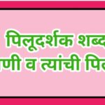 पिलूदर्शक शब्द (प्राणी व त्यांची पिल्ले) pilludarshak shabda scolarship exam 
