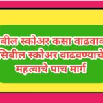 सिबील स्कोअर कसा वाढवावा? सिबील स्कोअर वाढवण्याचे महत्वाचे पाच मार्ग how to increase cibil score 