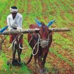 दिसते तसे नसते diste tase naste moral stories