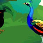 गर्विष्ठ मोर आणि शहाणा करकोचा peacock and karkocha 