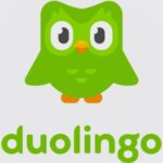 शैक्षणिक ॲप ड्युओलिंगो ॲप्लीकेशन” माहिती व लिंक उपलब्ध educational application deuolingo 
