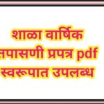 शाळा वार्षिक तपासणी प्रपत्र pdf स्वरूपात उपलब्ध shala varshik tapasni pdf