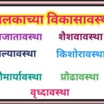 बालकाच्या विकासावस्था principales of child development 