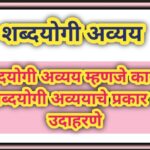 शब्दयोगी अव्यय म्हणजे काय ? शब्दयोगी अव्ययाचे प्रकार व उदाहरणे types of preposition and examples 