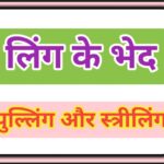 लिंग के दो भेद पुल्लिंग और स्त्रीलिंग types of gender in hind