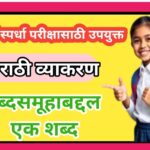शब्दसमूहाबद्दल एक शब्द marathi grammar pdf