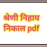 श्रेणीनिहाय निकाल pdf उपलब्ध shreninihay result pdf 