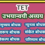 TET उभयान्वयी अव्यय सराव प्रश्नसंच tet practice questions 