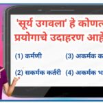 TET मराठी सराव टेस्ट सोडवा tet marathi practice test 