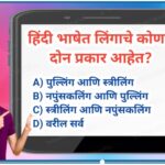 TET हिंदी व्याकरण लिंग सराव टेस्ट सोडवा tet hindi practice test 