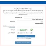 CTET EXAM 2026 correction window 