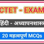 CTET EXAM हिंदी अध्यापनशास्त्र – 20 महत्वपूर्ण MCQs उपलब्ध ctet exam mcqs practice questions 